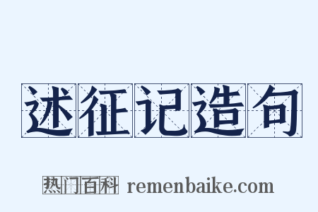 述征记造句是什么意思的图片